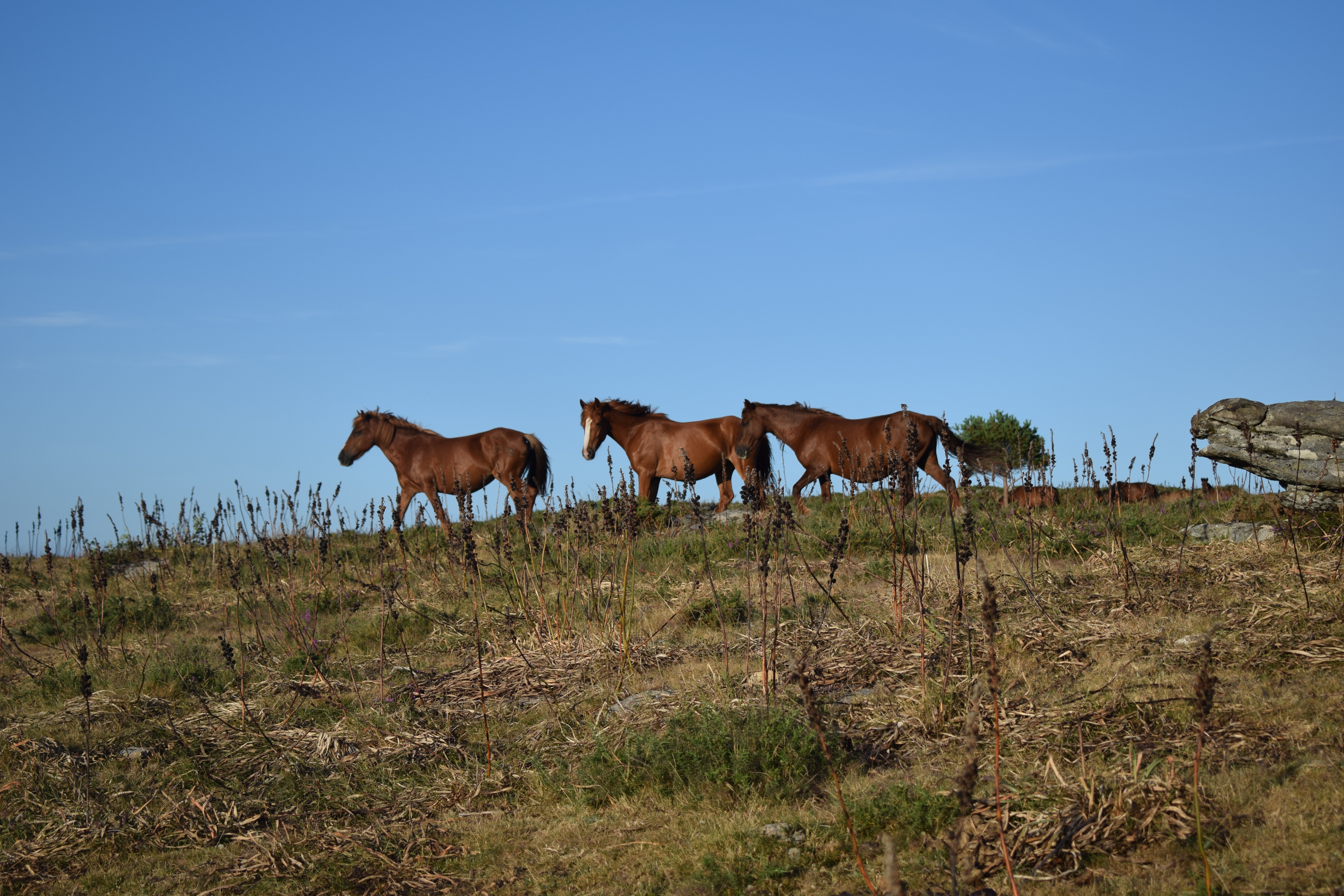 Serra da Paradanta