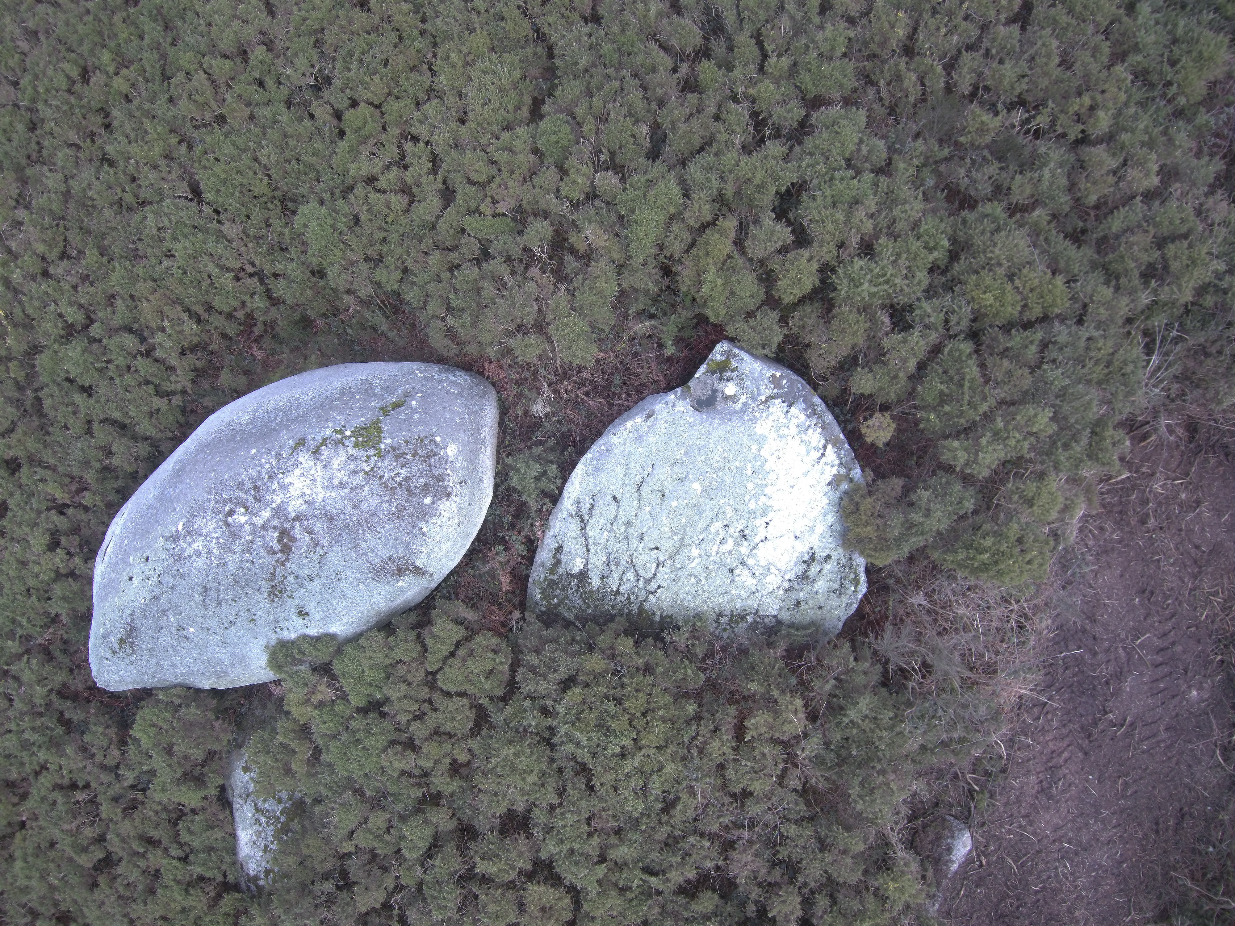 Pedra Cerdeira (Cerceda)